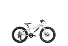 trenoli FINO 2.0 DISC MTB in silver – matt | Kids Bike